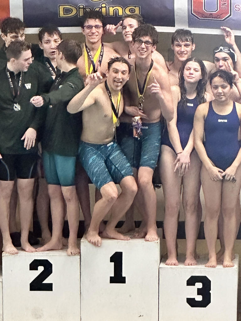 Swim 4